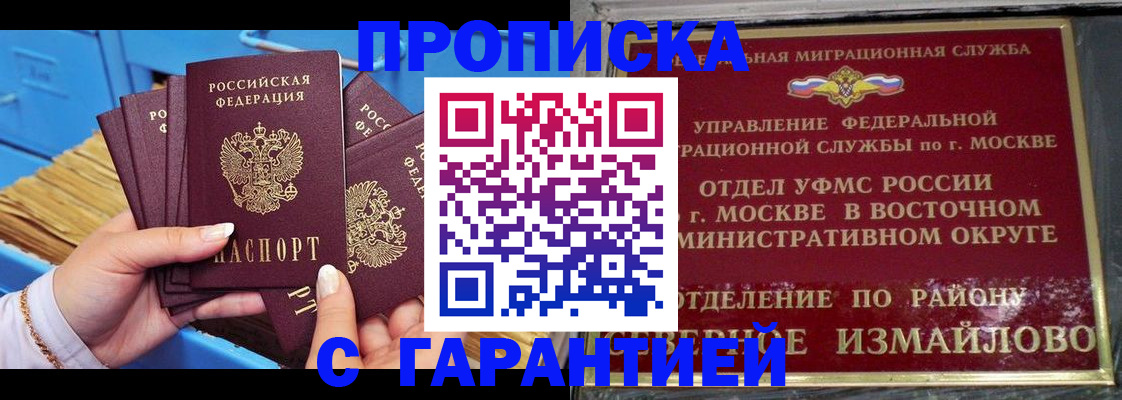 прописка поиск в Щёлково