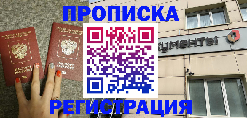 прописка в Щёлково